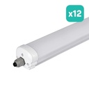 LED Batten Fitting - Serie G - IP65 Waterproof - White - 36W - 4320 Lumens - 6400K - 120CM - Pack de 12